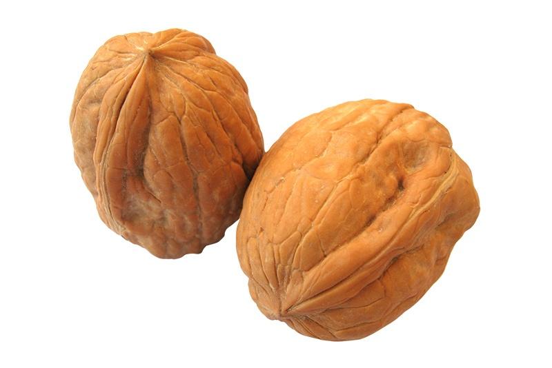 Walnut