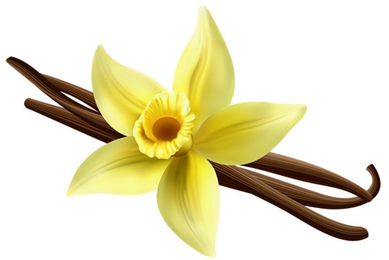 Vanilla