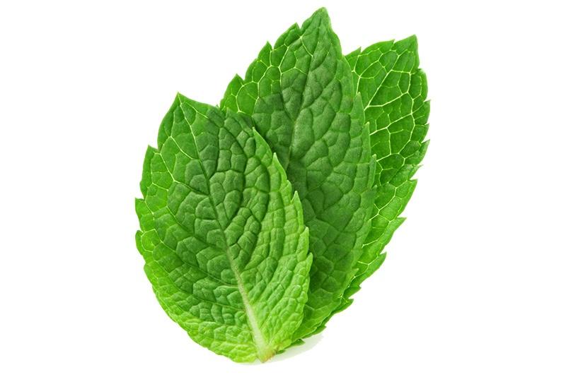 Peppermint