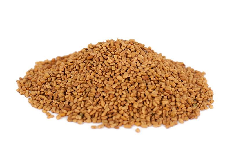 Fenugreek Seed