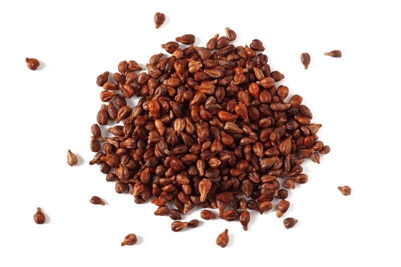 Grape Seed Oil