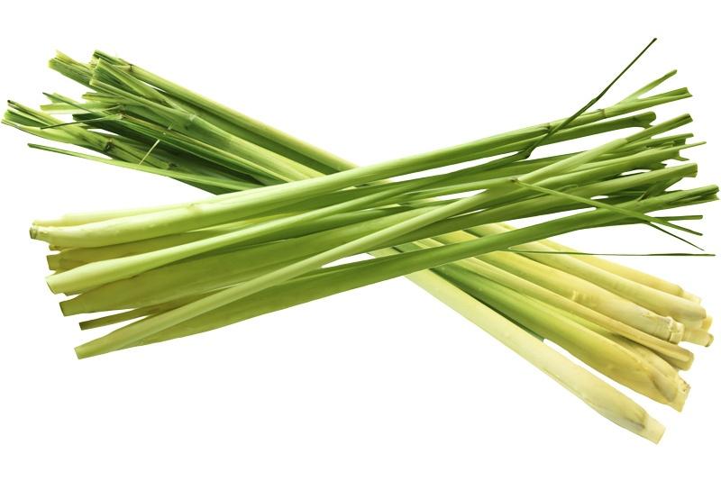 Citronella Oil