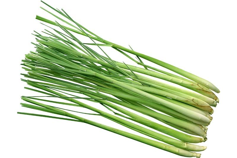 Lemon grass