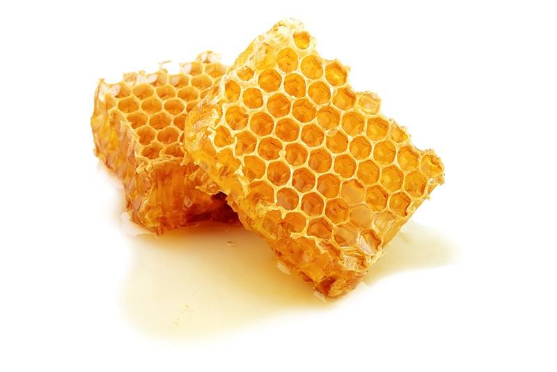 Royal Jelly Extract
