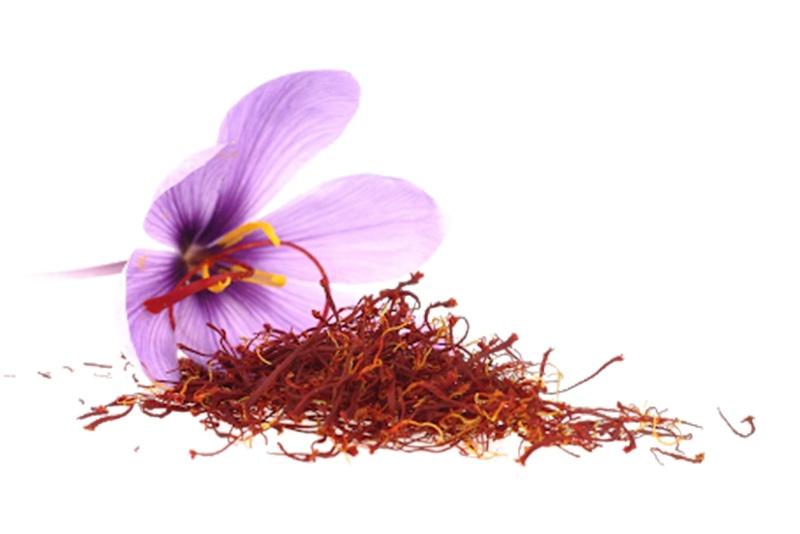 Kamal Kesar (Sacred Lotus)